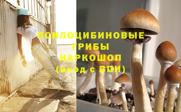 Альфа ПВП Алзамай