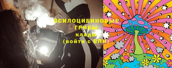 Альфа ПВП Алзамай