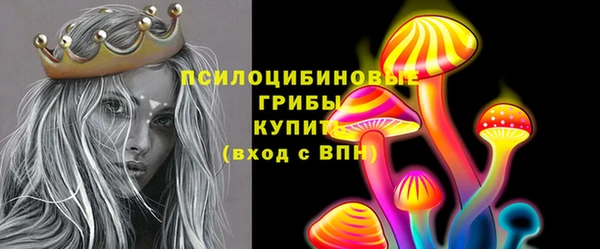 Альфа ПВП Алзамай