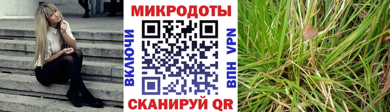 Псилоцибиновые грибы GOLDEN TEACHER магазин наркотиков Анапа