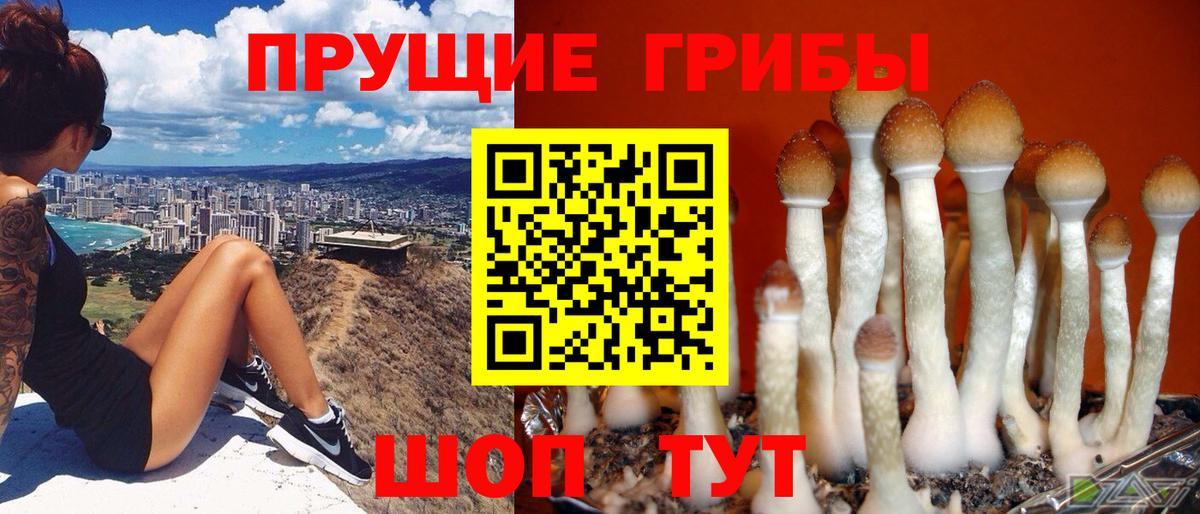 Псилоцибиновые грибы MAGIC MUSHROOMS Анапа