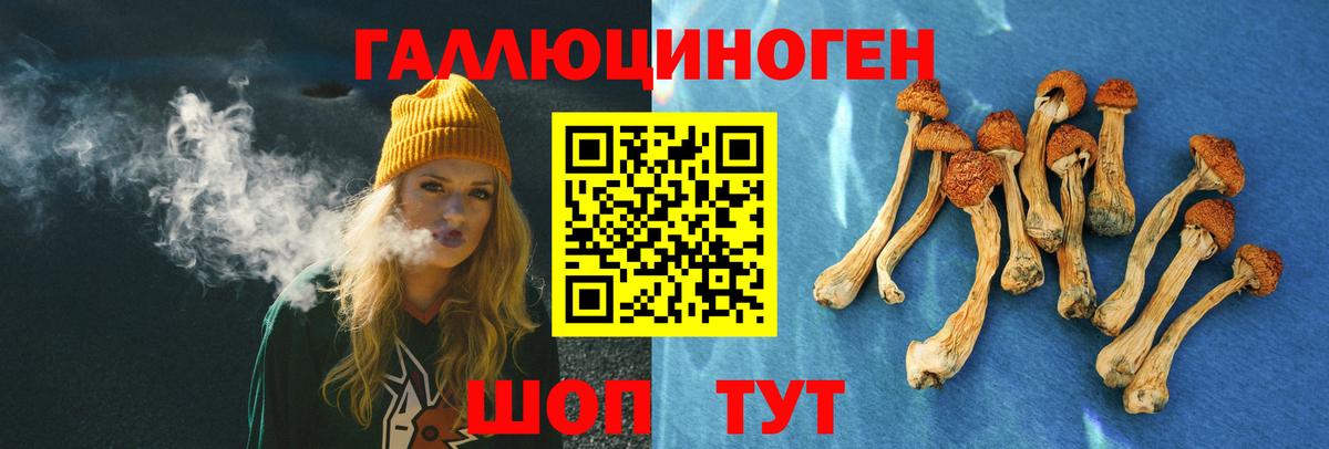 Псилоцибиновые грибы MAGIC MUSHROOMS  Вход с VPN  Псилоцибиновые грибы ЛСД  Анапа 